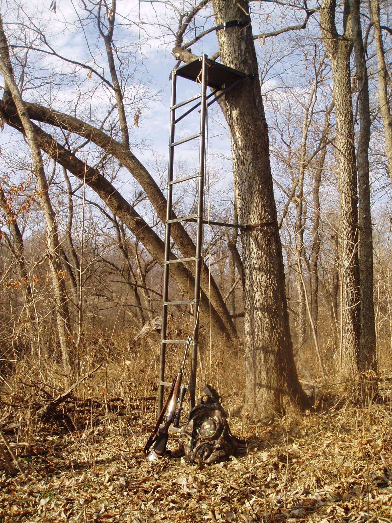 What Are The 3 Main Types Of Tree Stands - Design Talk