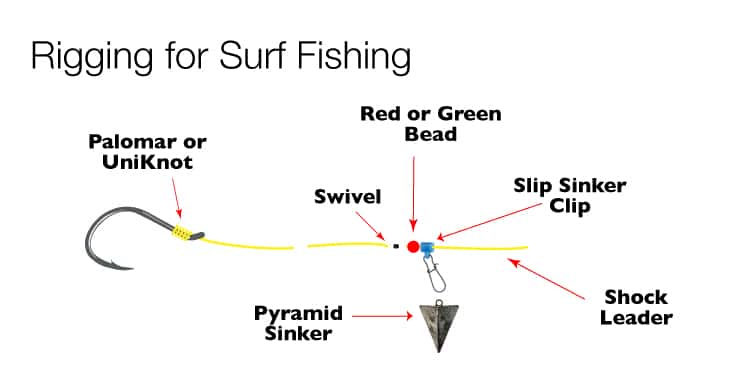 All You Need to Know about Surf Fishing Rigs