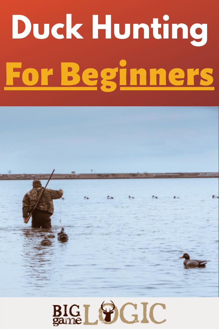 Duck Hunting For Beginners