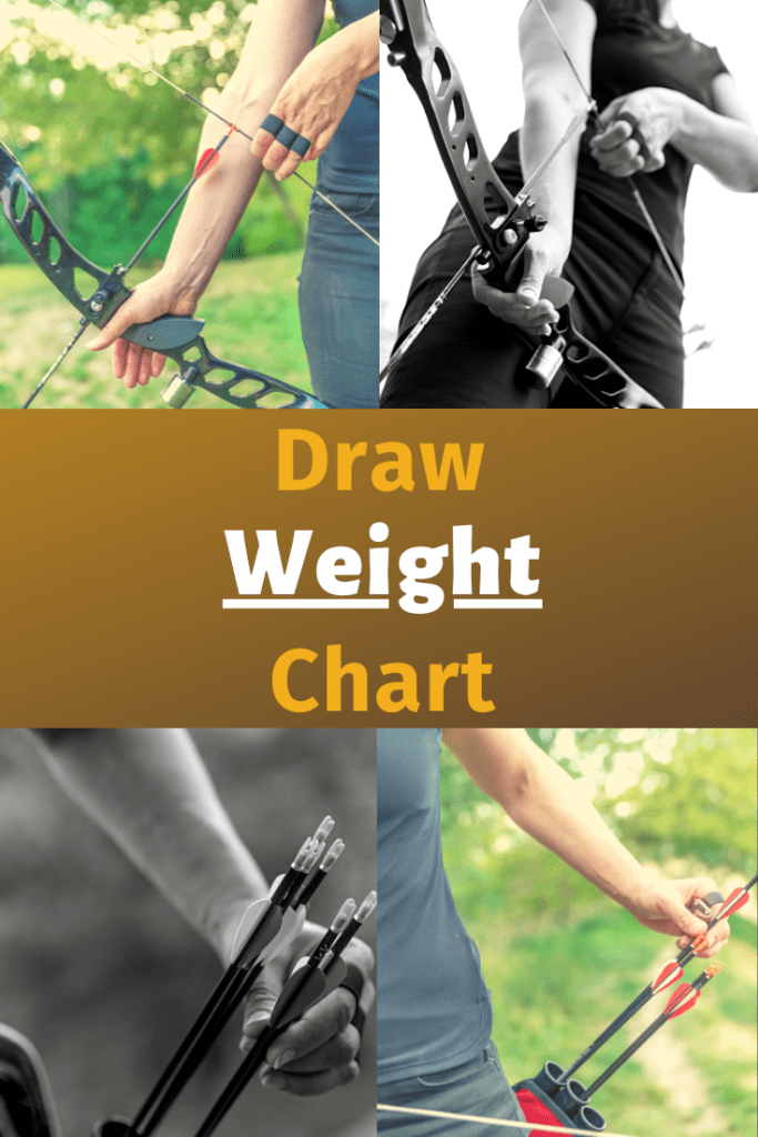 Draw Weight Chart